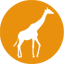mango%20giraffe