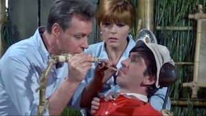 1967 | Gilligans Insel - Bang!Bang!Bang!