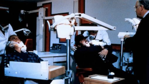 1983 | Zwei bärenstarke Typen